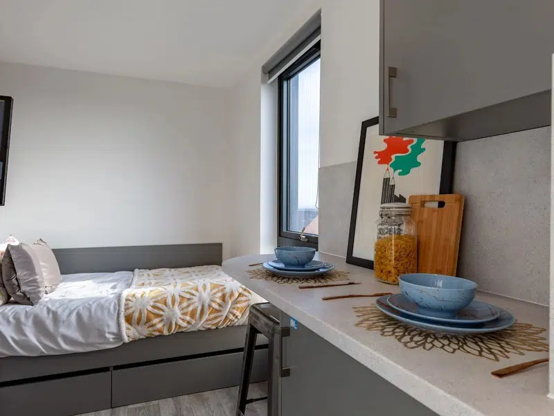 Seaview Studio photo 1