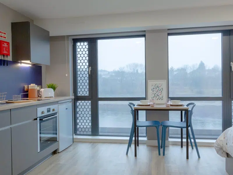 Premium Riverview Studio photo 5