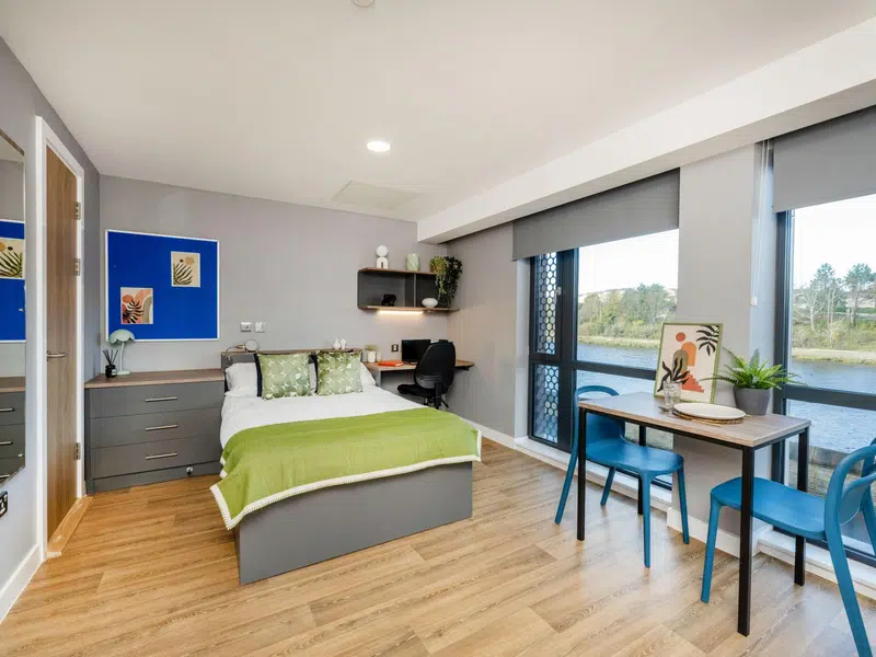 Premium Riverview Studio photo 3
