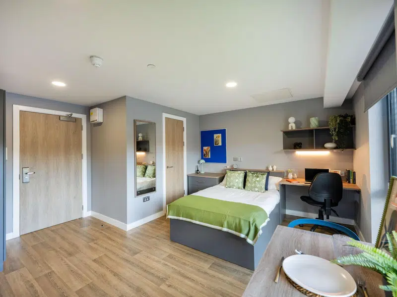 Premium Riverview Studio photo 4