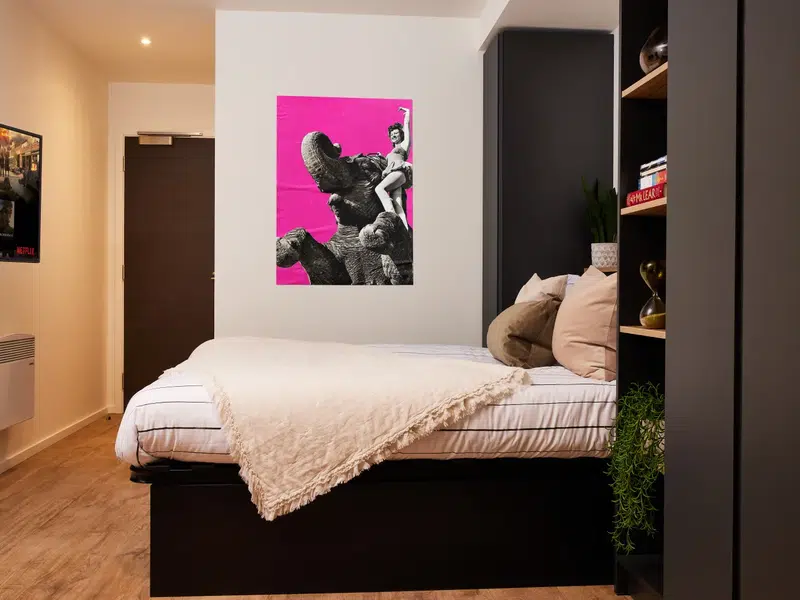 Premium Studio photo 1