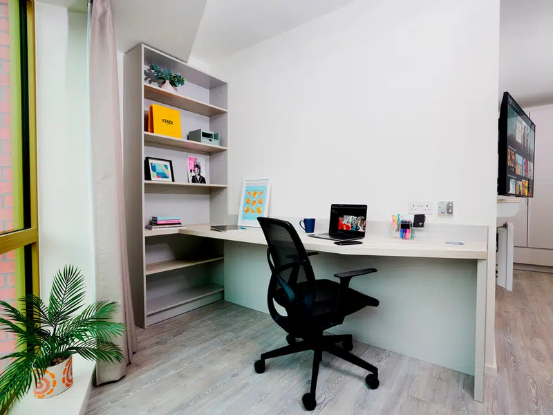 Premium Studio photo 3
