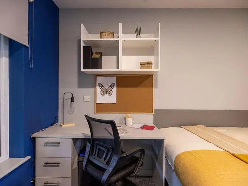 Premium Studio photo 5