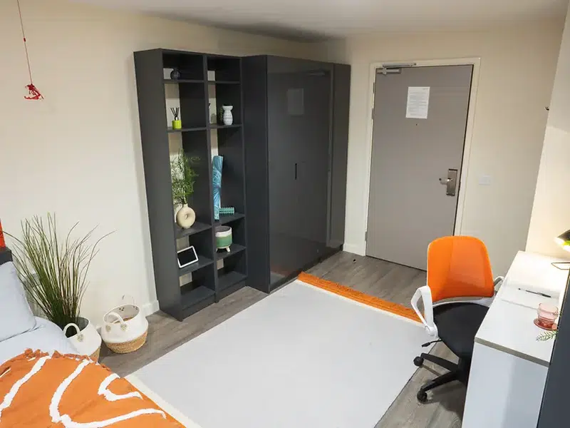 Deluxe Studio photo 4