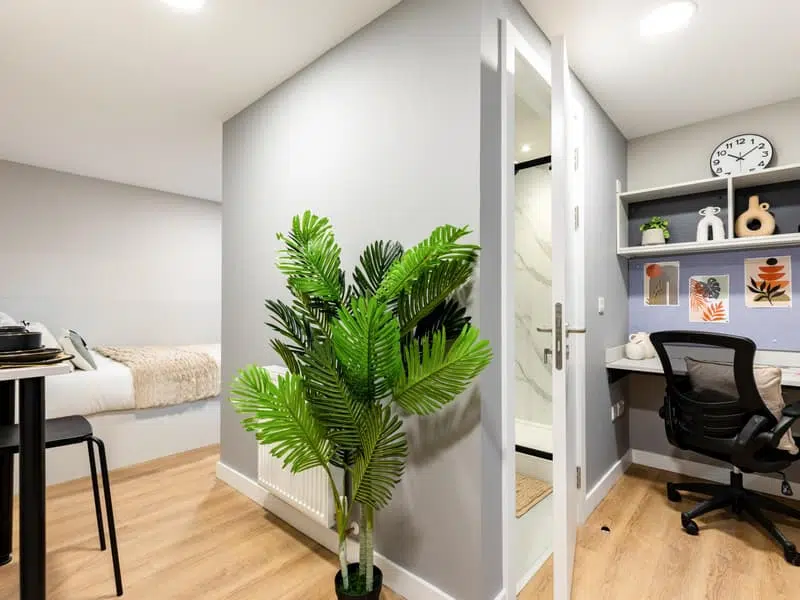 Premium Studio photo 6