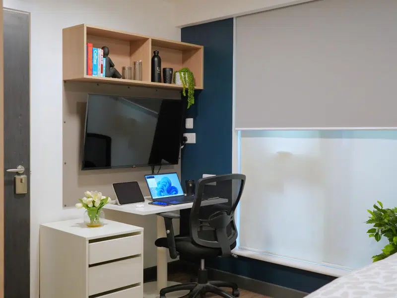 Premium Studio photo 2