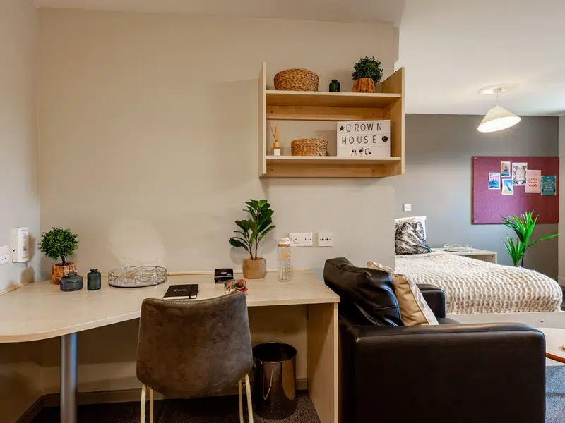 Premium Studio Accessible photo 4
