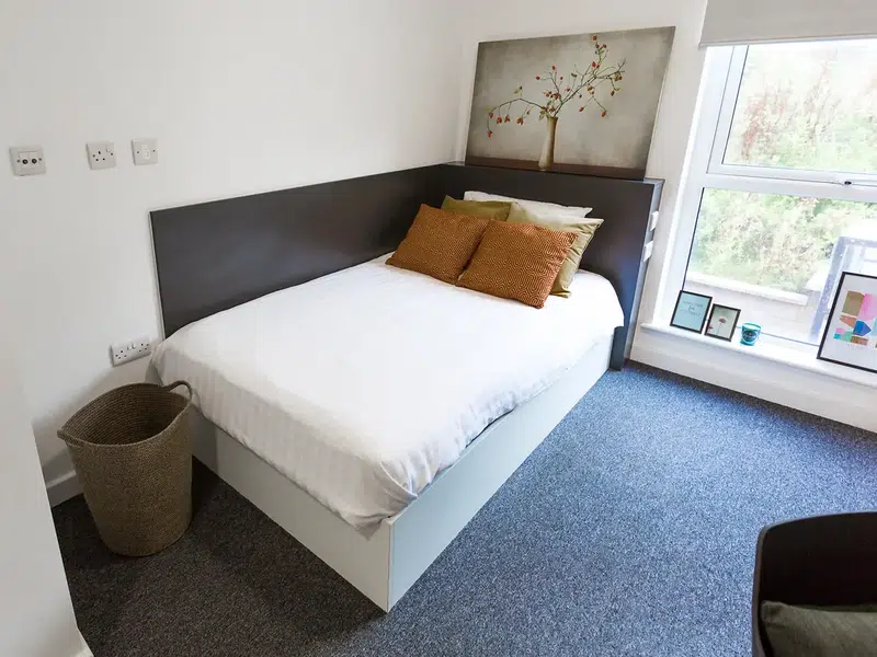 Premium Studio Accessible photo 1