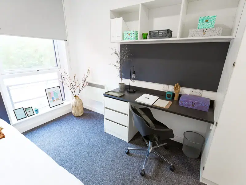 Premium Studio Accessible photo 4