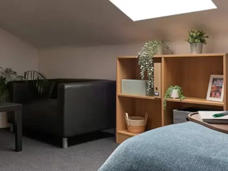 Premium Studio Plus photo 3