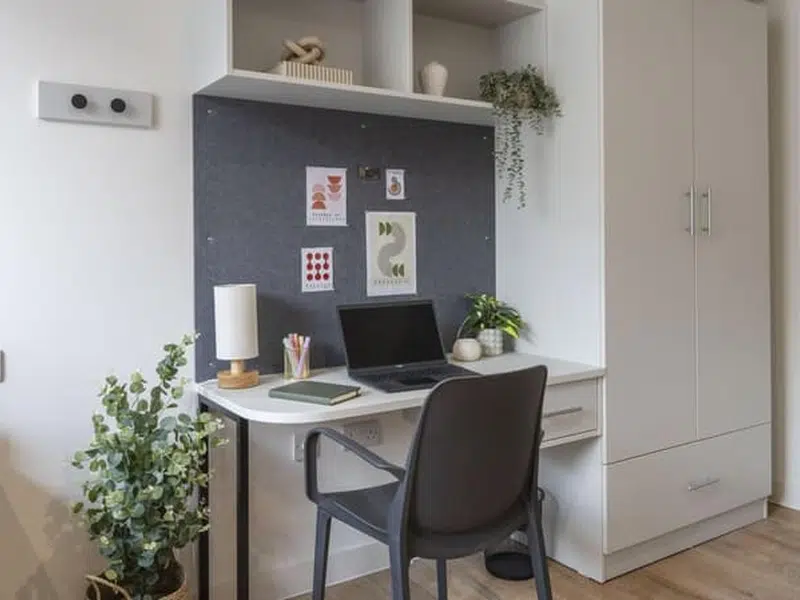 Premium Studio Plus photo 3