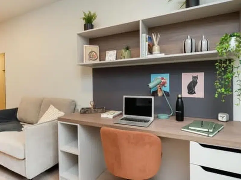 Premium Studio Plus photo 3