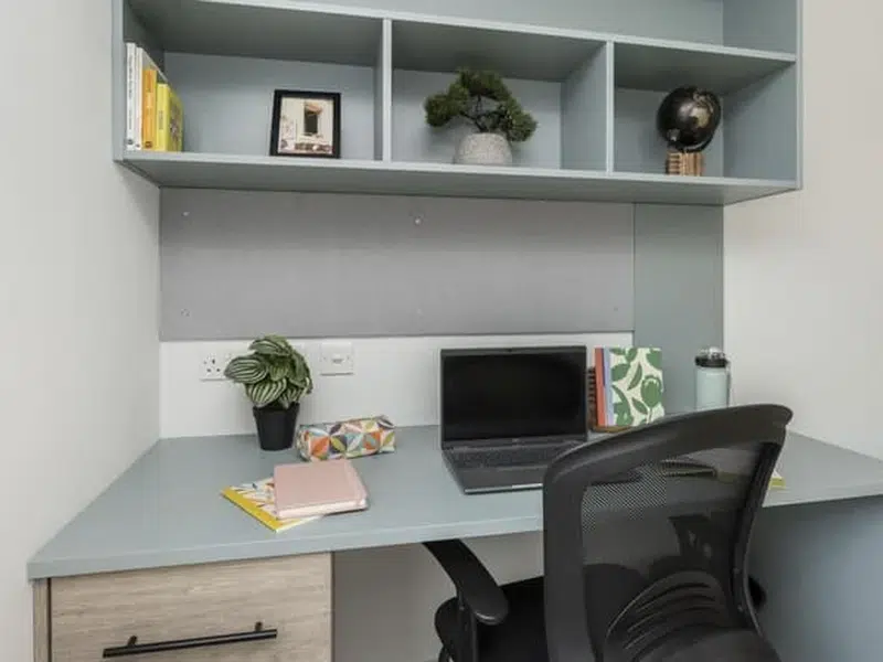 Premium Studio Plus photo 6