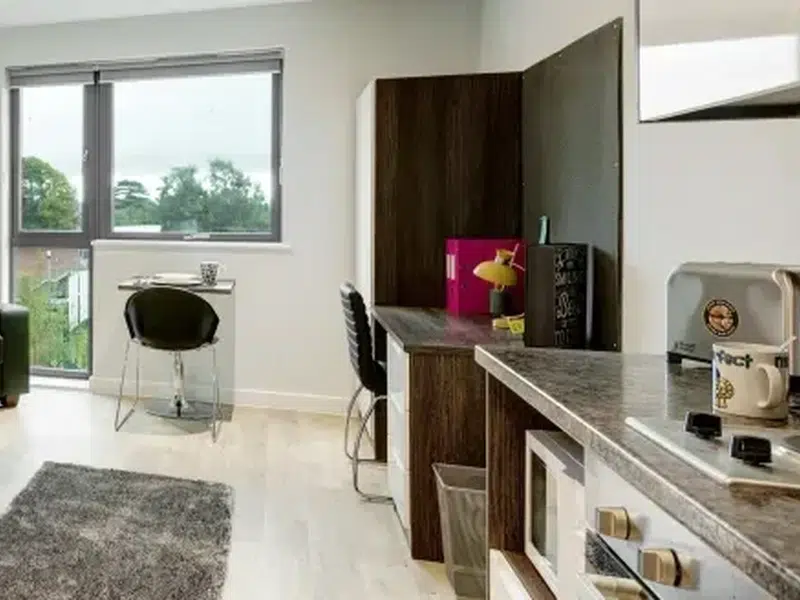 Premium Plus Studio photo 3