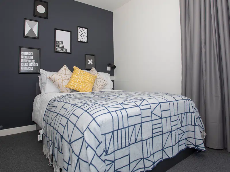 Premium Studio Plus photo 2