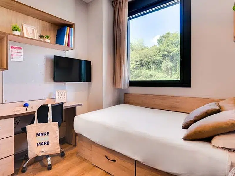Premium Studio with Kitchen photo 1