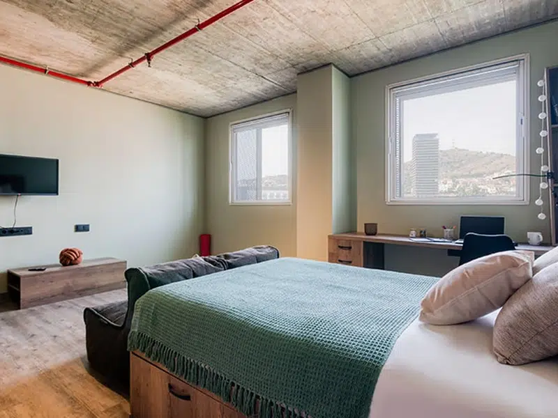 Premium Studio with Kitchen photo 5