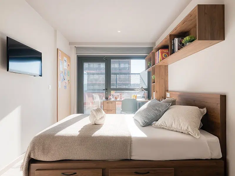 Premium Studio with Kitchen photo 4