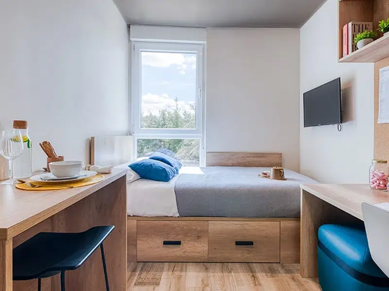 Premium Studio with Kitchen photo 2