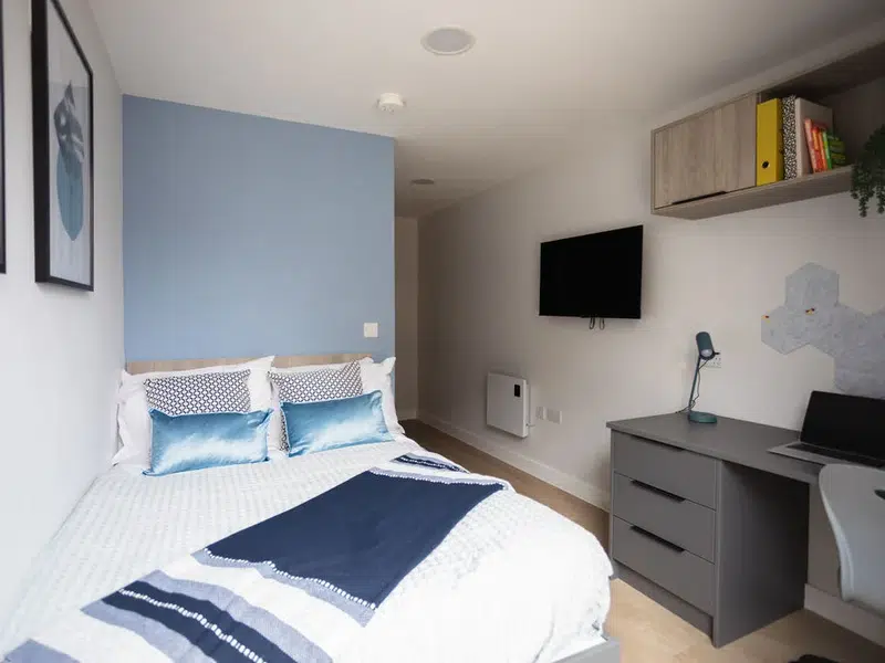 Premium Studio with Terrace photo 4