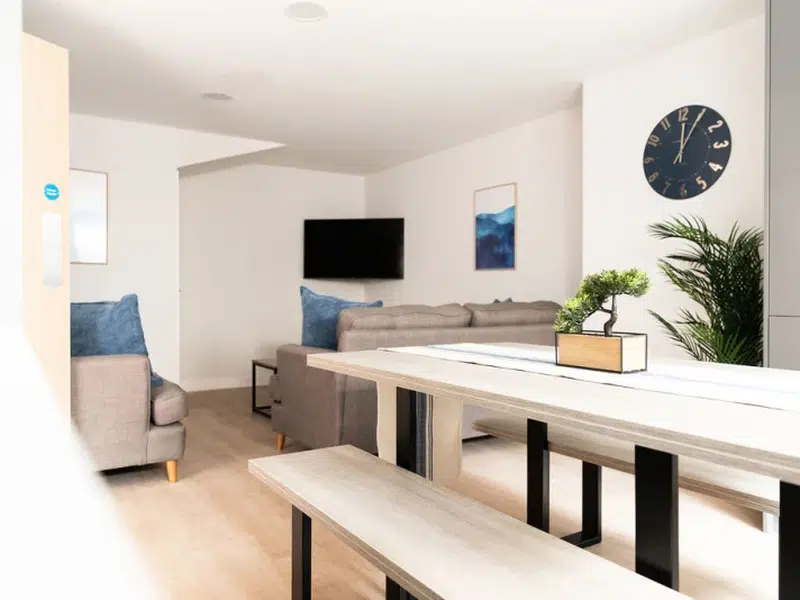 Premium Studio with Terrace photo 2