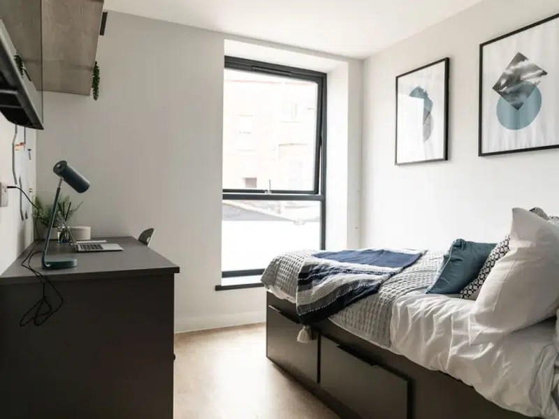 Premium Studio with Terrace photo 3