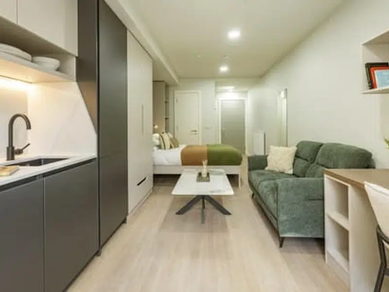 Premium Terrace Studio photo 6