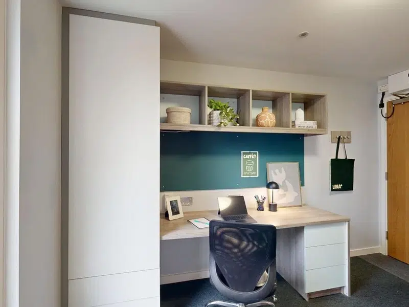 Castle Boulevard Non Ensuite photo 6