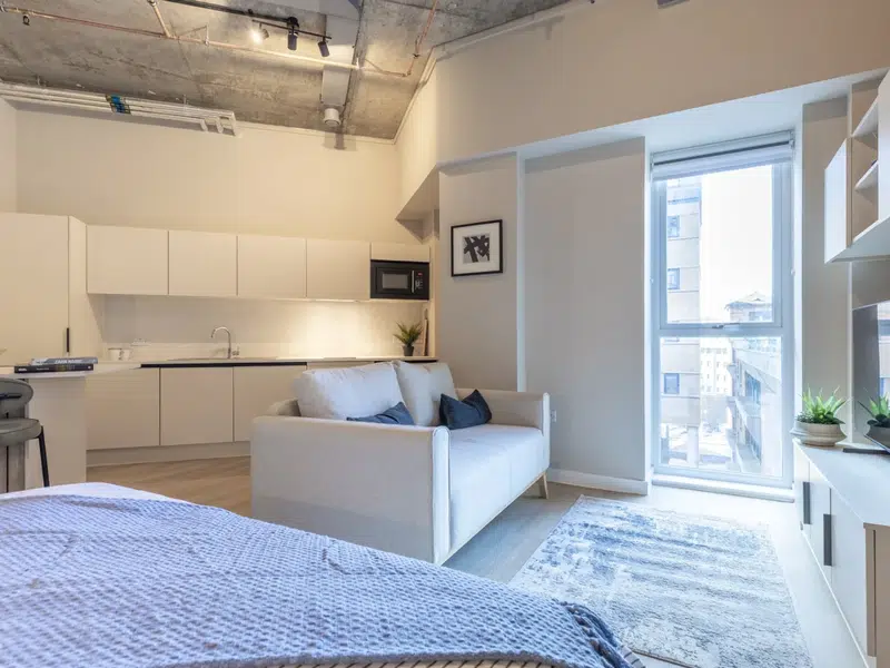 Roomy Studio Apartment photo 2