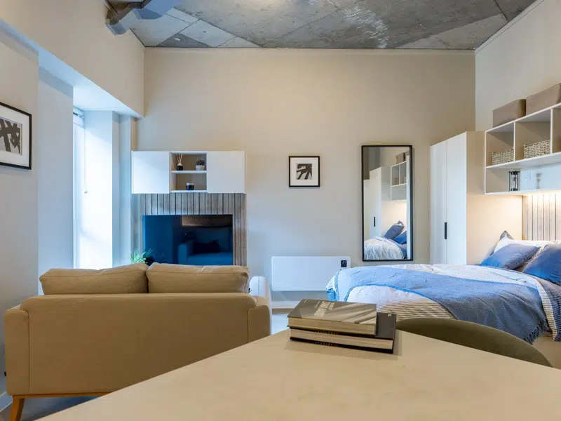 Roomy Studio Apartment photo 3