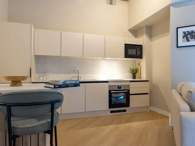 Roomy Studio Apartment photo 4