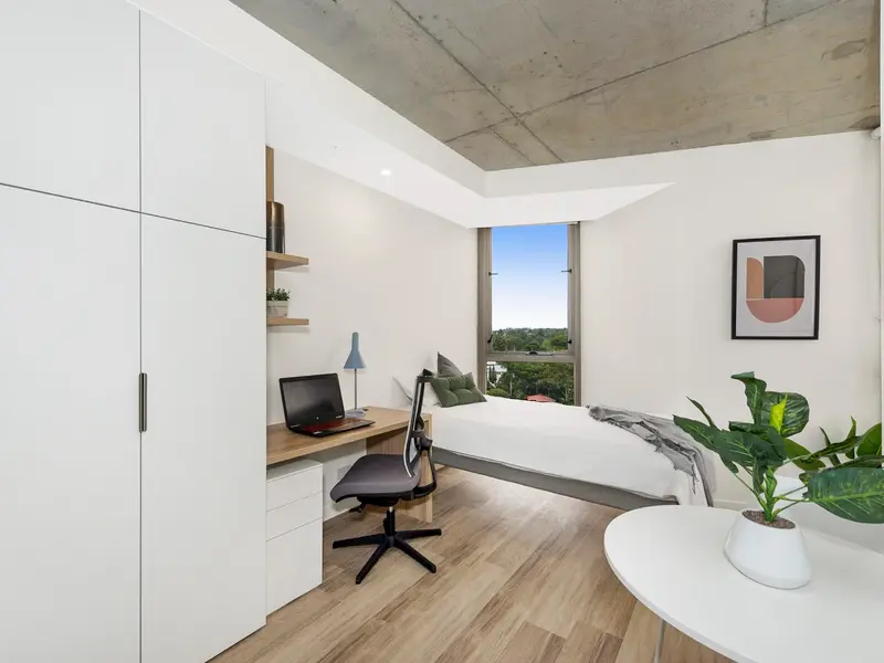 Signature Plus Twin Apartment- King Single Bed with Standard View photo 5