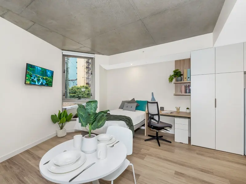 Signature Plus Twin Apartment- King Single Bed with Standard View photo 2