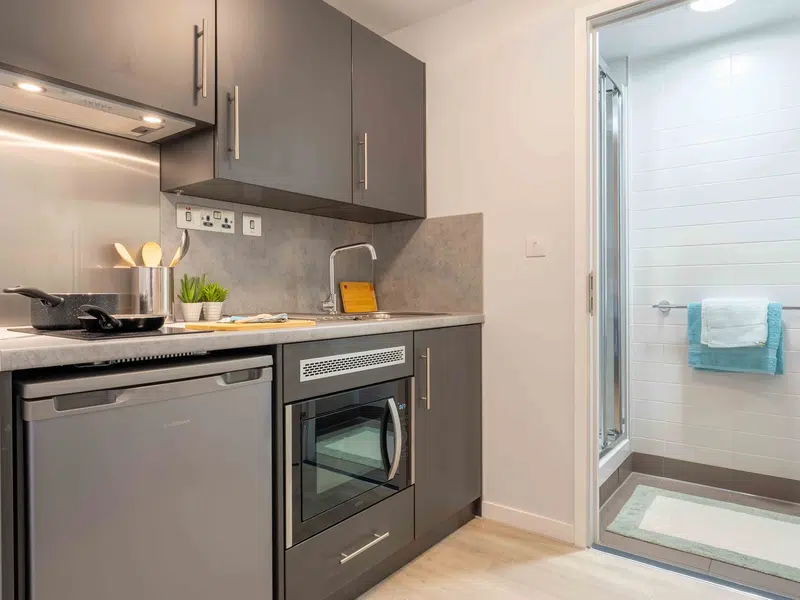 Silver 1 Bed Apartment Plus photo 5