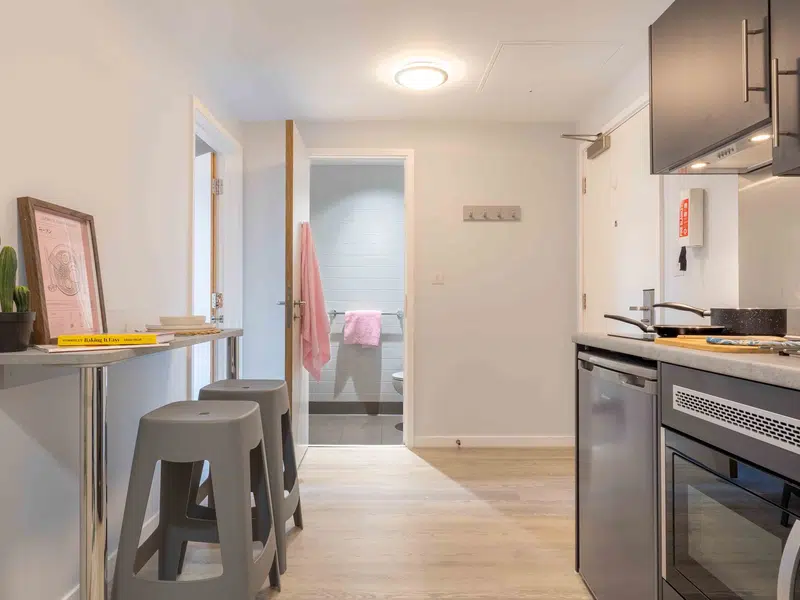 Silver 1 Bed Apartment Plus photo 4