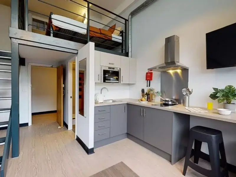 Silver Duplex Studio photo 4