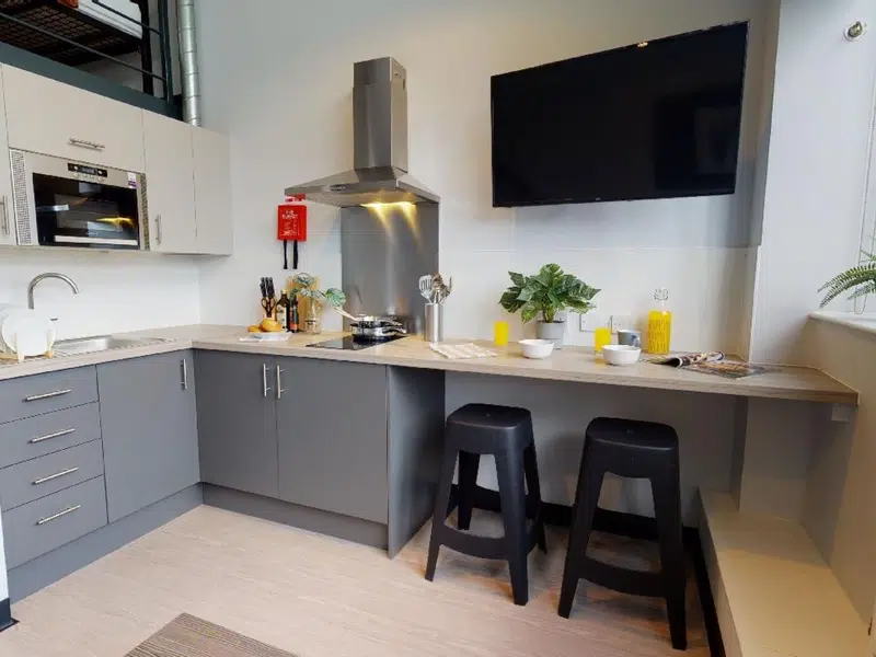 Silver Duplex Studio photo 6