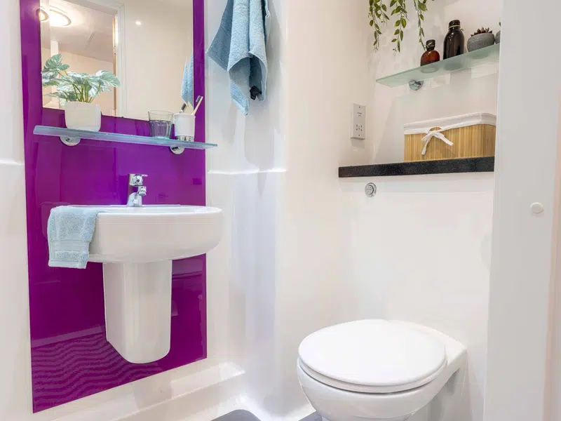 Silver En-Suite photo 5