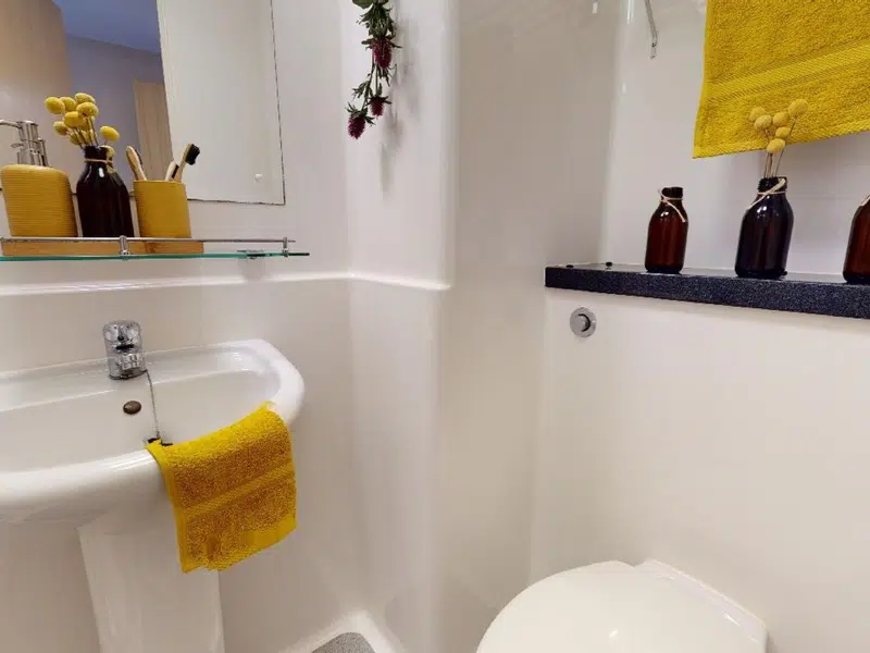 Silver En Suite photo 3