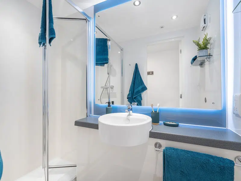 Silver En-Suite photo 3
