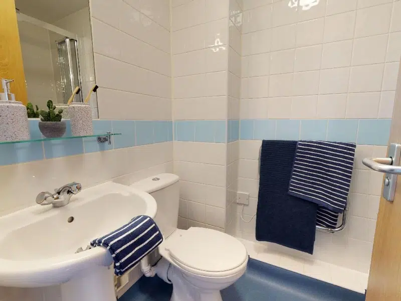 Silver En-Suite photo 4