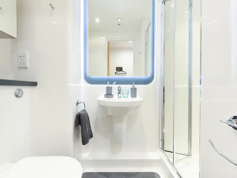 Ensuite Silver photo 6
