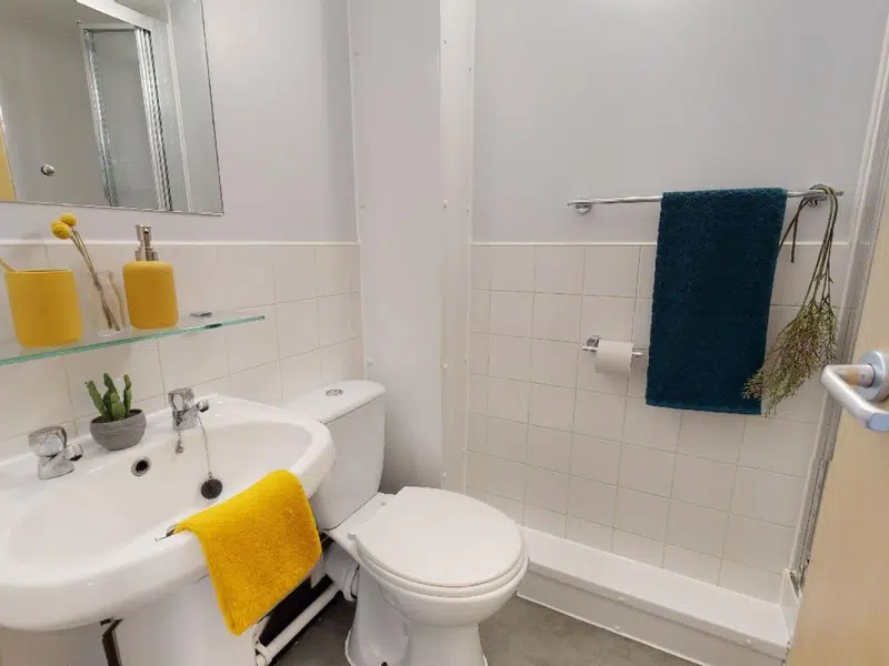 Silver En Suite photo 3