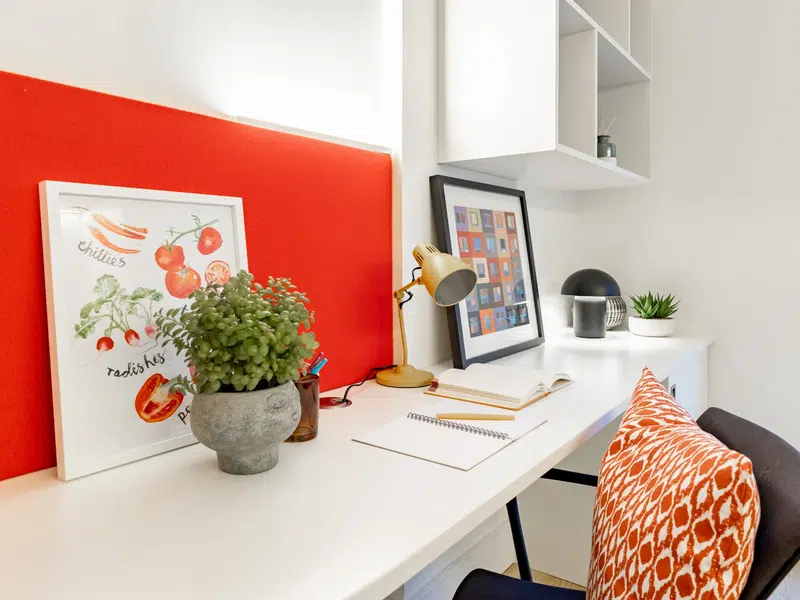 Premium En Suite photo 5