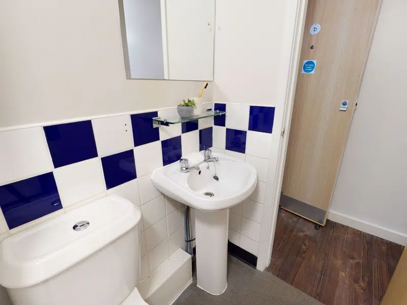 Silver En Suite photo 2