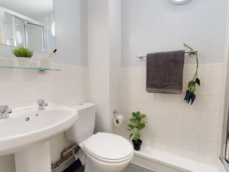 Silver En Suite photo 4