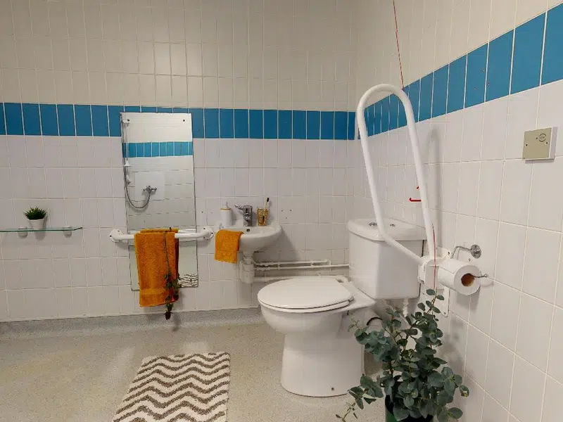 Silver En Suite photo 4