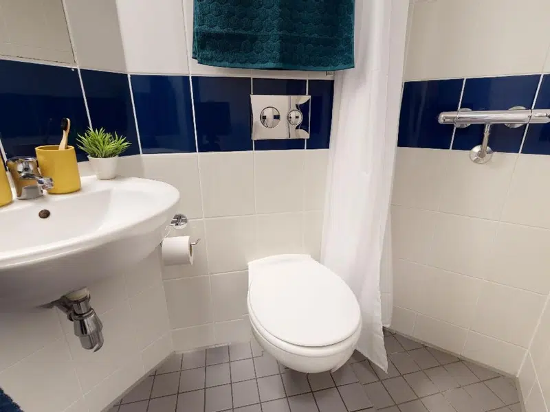 Silver En Suite photo 4