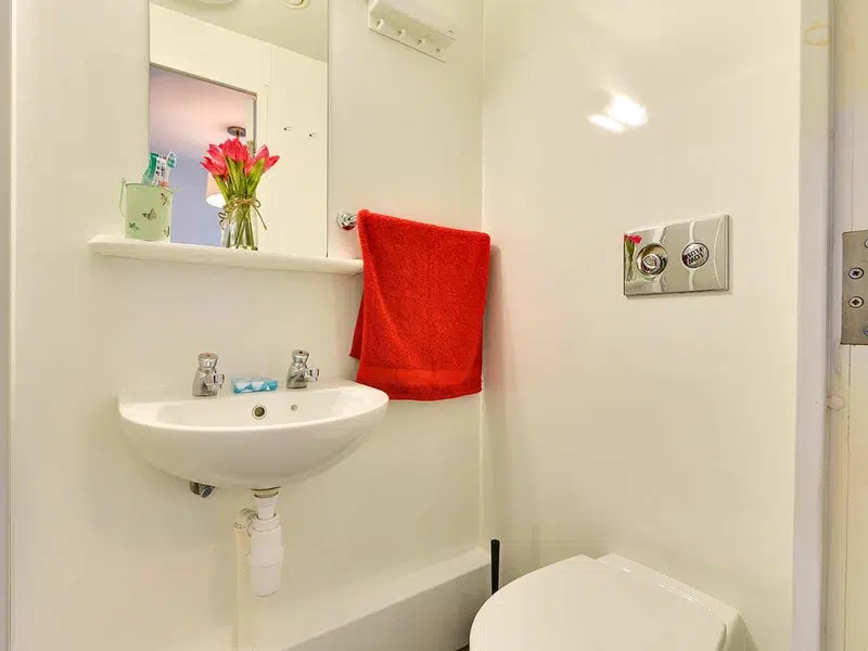 Silver En-suite photo 4
