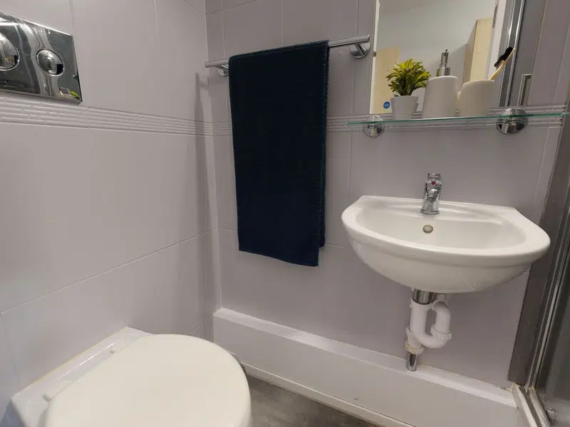 Silver En Suite Plus photo 4